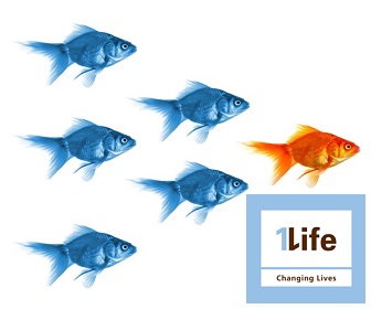 Life Cover Online